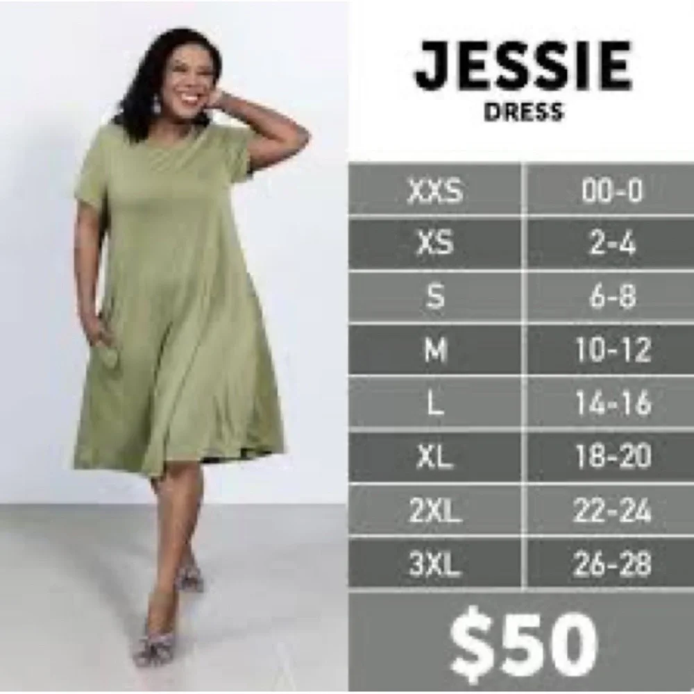 LuLaRoe Jessie Swing Dress - Picture 4 of 4